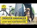 Croozer Anhänger | Einfach den richtigen Fahrradanhänger bei Lucky Bike finden