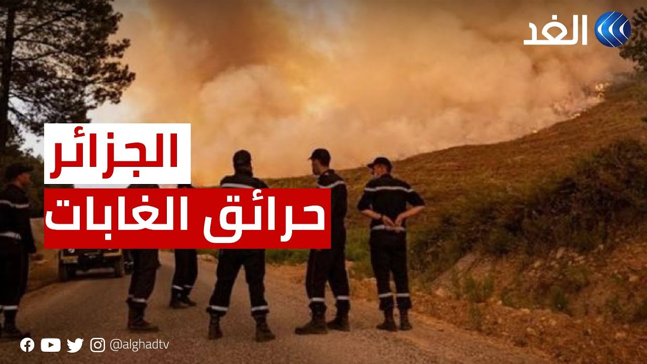 مراسلنا: 15 قتيلا و26 جريحا جراء حرائق الغابات في الجزائر