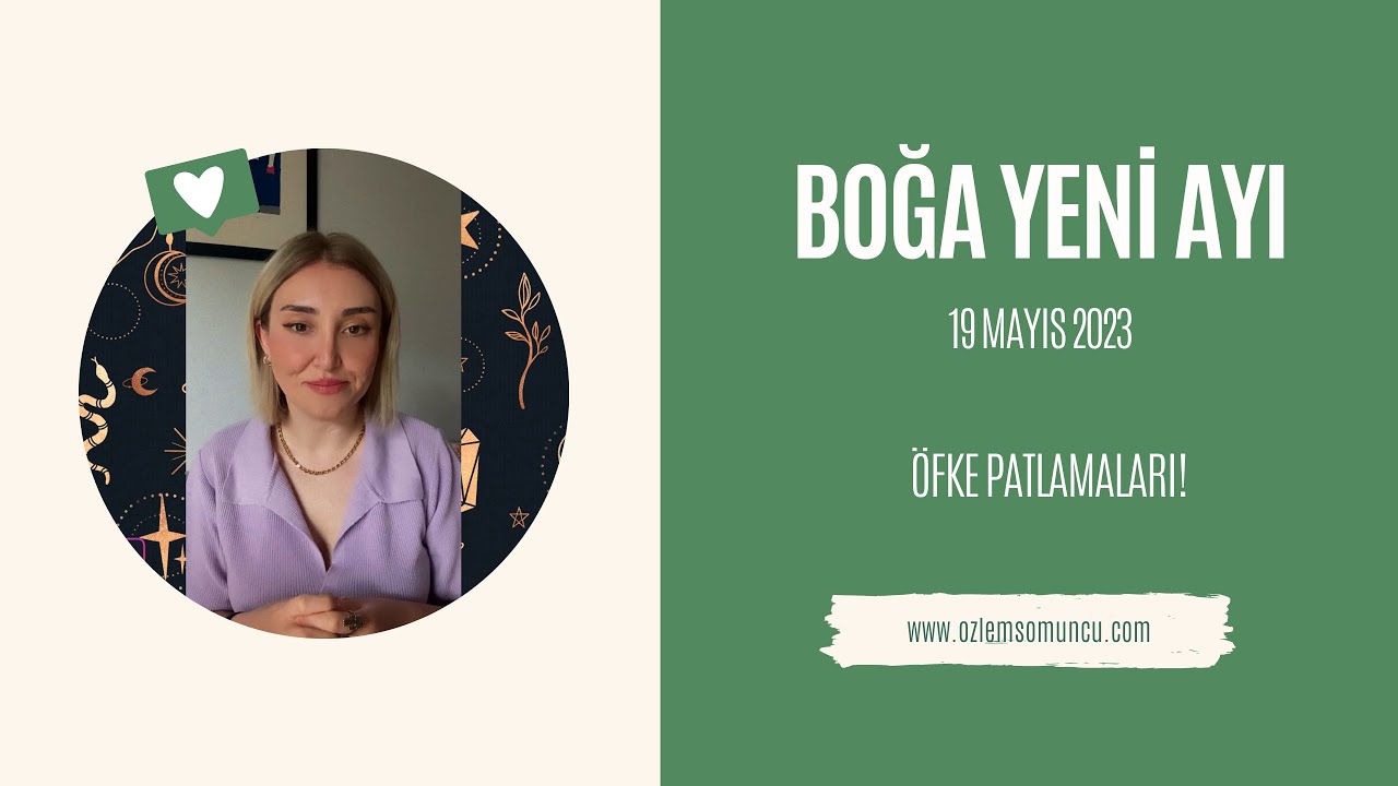 19 mayis boĞa yenİ ayi youtube