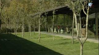 Volar En Globus A La Garrotxa - Vol De Coloms