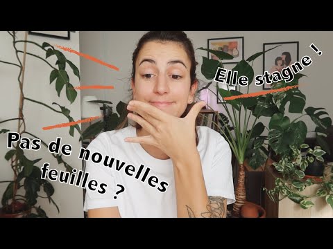 Vidéo: Cinq raisons pour lesquelles les pivoines ne fleurissent pas