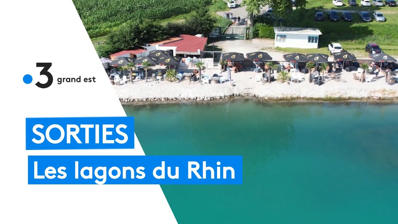 Sorties : baignade dans les lagons du Rhin