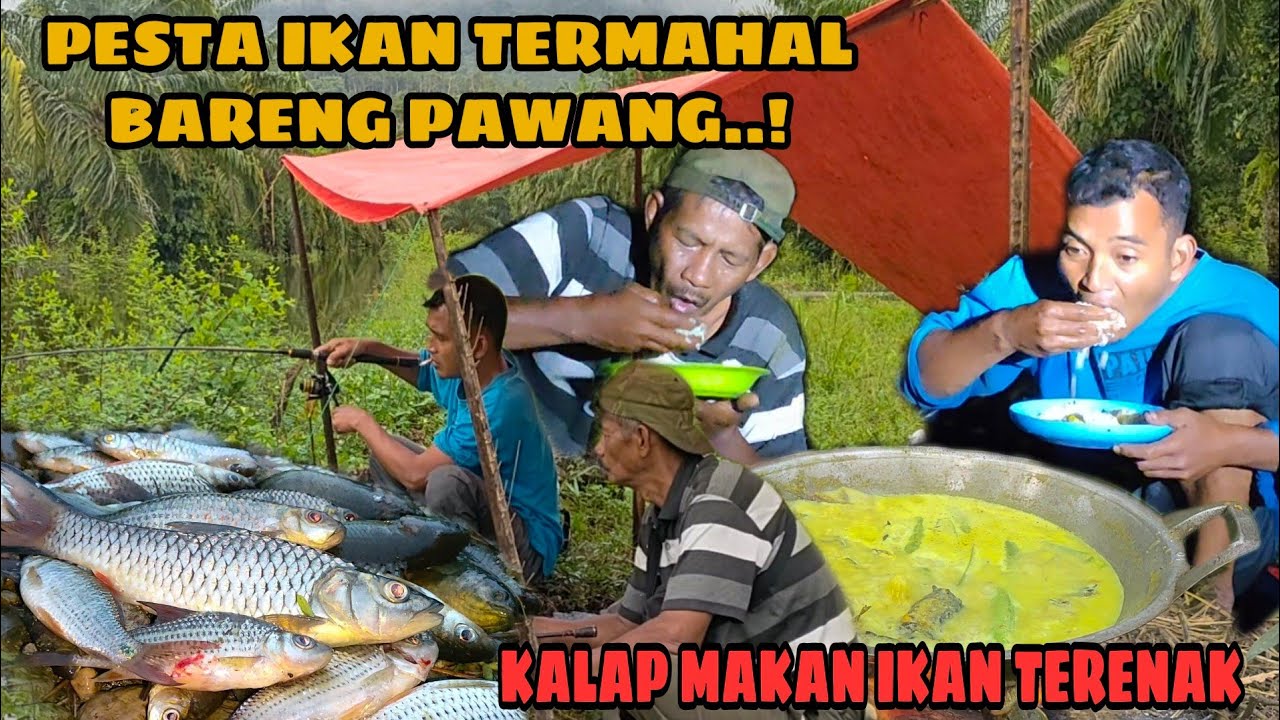 Pesta ikan termahal bareng pawang..!! kalap makan ikan terenak