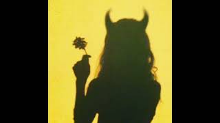 stefflon don ~ can't let you go slowed + reverb