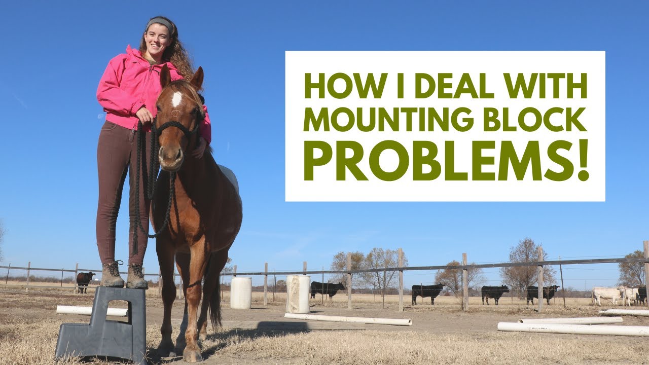 Horse Won't Stand Still To Mount Easy Training Solution YouTube