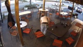 Detectives Seek Public’s Assistance in Identifying Auto Theft Suspect in Dunedin