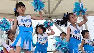 チアリーディング】NPO法人TPSチアリーディング部 2026アミコドームGW