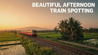 Details Beautiful Afternoon Train Spotting & Rural Sunset Views in Central Java News