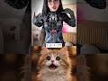 I love this transition now sorry#funny #cat #trending