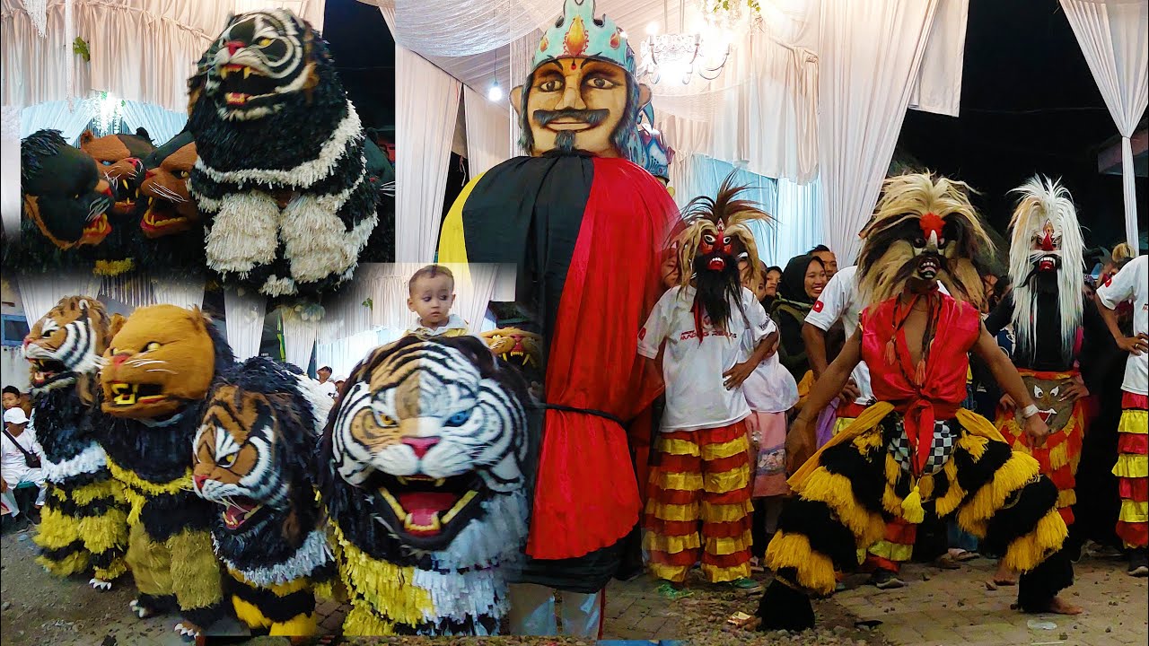 CAN MACANAN SINGO MANGGALA DAN MAONG REMAS DI PAGUEN PALERAN TAMAN KROCOK BONDOWOSO FULL ATRAKSI