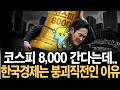 코스피 8000 간다는데, 대한민국 경제 뭔가 이상하다?! 동네 가게는 망해가는 진짜 이유