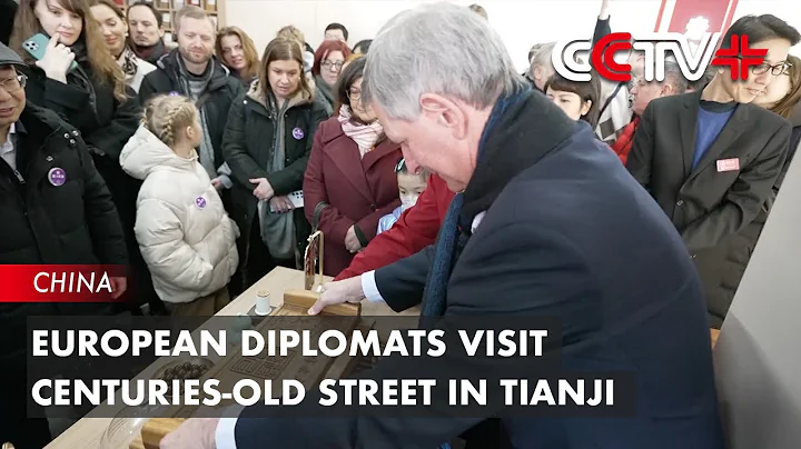 European Diplomats Visit Centuries-old Street in Tianjin - DayDayNews