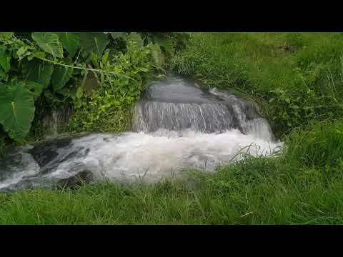 FREE BACKGROUND MAPOLOMOKO YA MAJI KATIKA MITO