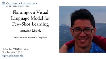 Antoine Miech - Flamingo: a Visual Language Model for Few-Shot Learning