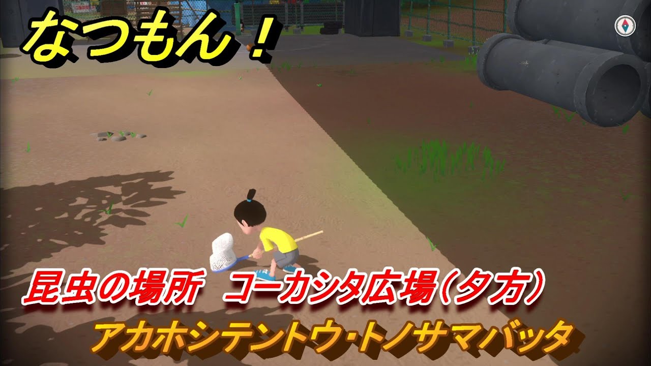 なつもん！ 昆虫の場所 コーカシタ広場（夕方） アカホシテントウ