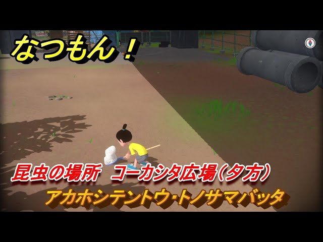 なつもん！ 昆虫の場所 コーカシタ広場（夕方） アカホシテントウ