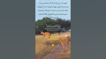 تلاوة خاشعة عطرة مباركة جميلة عذبة للشيخ فارس عباد ماتيسر من سورة الكهف
