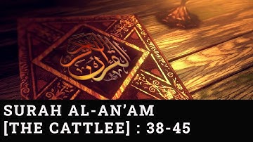 Good Breezes From The Section Of "The Cattle" [Al An'am]| من سورة الأنعام | Tareq Mohammad