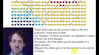 BI 2010 Genetic drift part 1