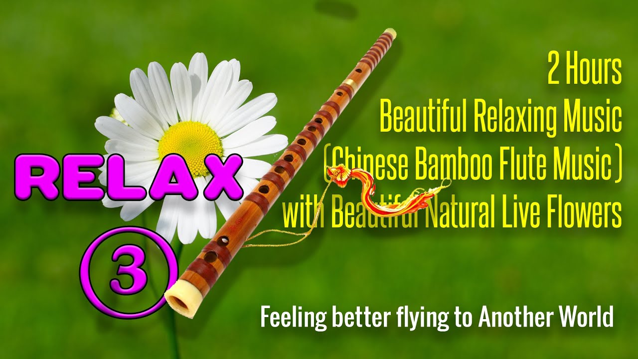2 Hours Beautiful Relaxing Music (Chinese Bamboo Flute Music) with