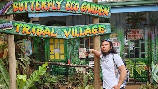 Butterfly Ecological Garden  / Puerto Princesa,  Palawan, Philippines  #butterflyecogarden #palawan