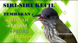 MASTERAN SIRI SIRI KECIL TEMBAKAN PEDAS DAN TAJAM