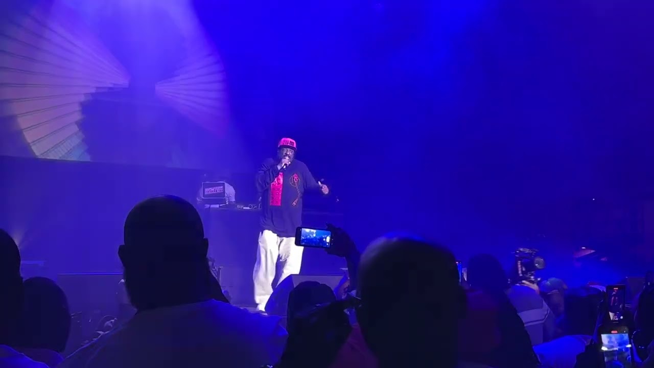 T LA ROCK - 50 Anniversary of HIP HOP Mixtape Live - YouTube