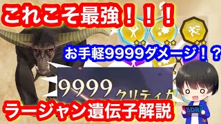 オトモン界最強！？ラージャン遺伝子解説！【モンハンストーリーズ2】