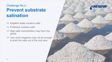 Irrigation and Fertigation in soilless media.Best practices and new technologies - Netafim (English)
