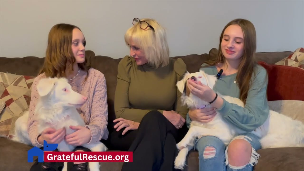 Sisters raise two blind and deaf dogs