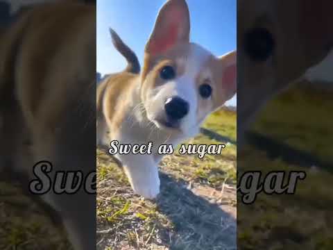 JUEGO PAGA POR JUGAR GRATIS HASTA $200 JUGA DESDE MOVIL Y PC RETIRA A TU WALLET!