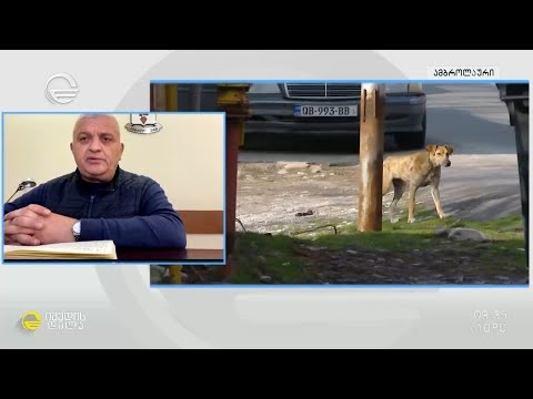ცოფის ლაბორატორიულად დადასტურებული შემთხვევა ამბროლაურში - ზვიად მხეიძე „იმედის დილაში“
