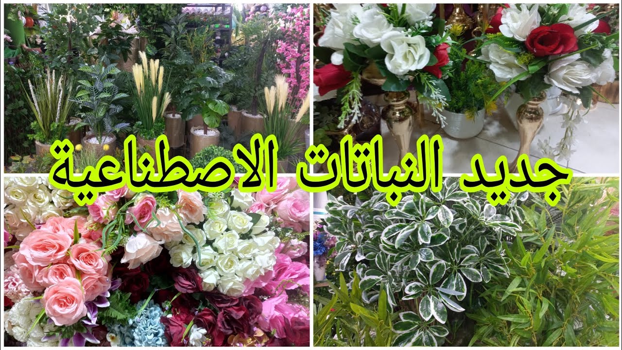الجديد بسوق القريعة.أشجارو ورود وديكورات بلاستيكية عصرية لتزيين المنزل أشكال روعة