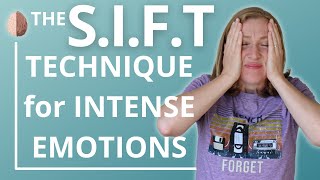 The SIFT Technique for Emotion Processing: Dr. Daniel Siegel and The Whole-Brain Child