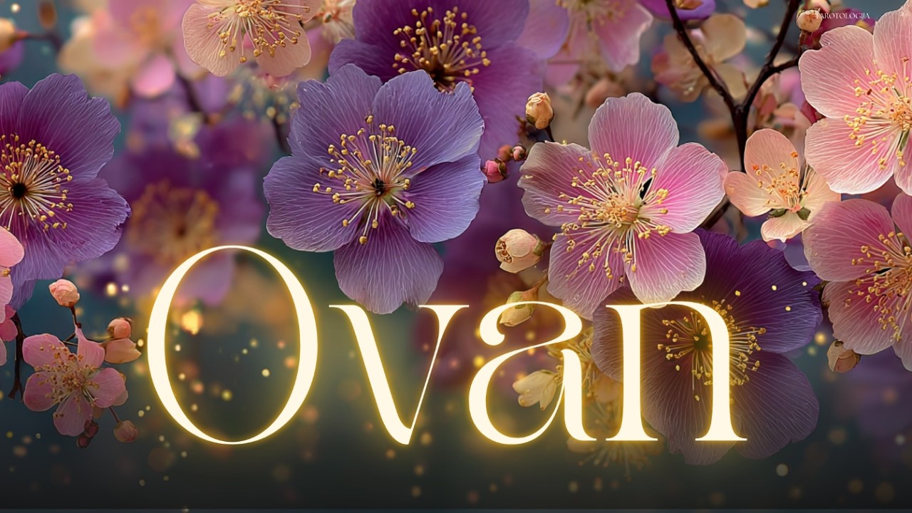 OVAN: Čestitam! OVAN privlači sreću koje ste zaslužili! 🥂🎈TAROT ČITANJE