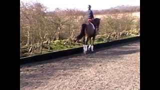 Novice 28 Dressage Test