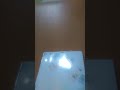 南野陽子☆カラオケ「ガラスの海で」