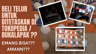 UNBOXING TELUR AYAM HIAS | BELI ONLINE EMANG AMAN?