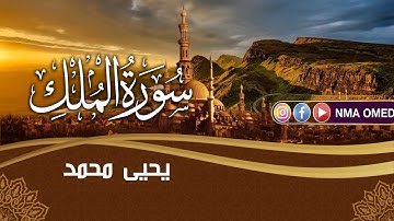 سورة الملك بصوت القارىء يحيى محمد الشيخاني