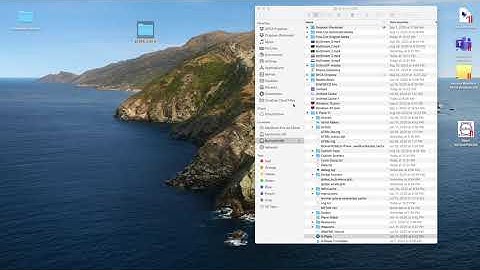 X Plane 11: How to Update the B738 800X Zibo Mod - Mac OS Catalina - Best Guide