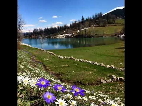 Dağ Çiçəyi - Ziyad Xan