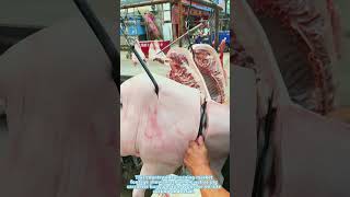 Rural Free-Range Native Pork Stall, Fresh Whole Pig Carcass Hanging Cutting Scene