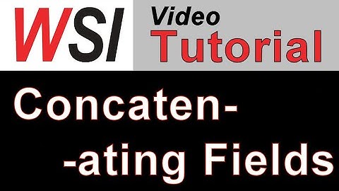 Concatenating Fields in Access to Save Form Space