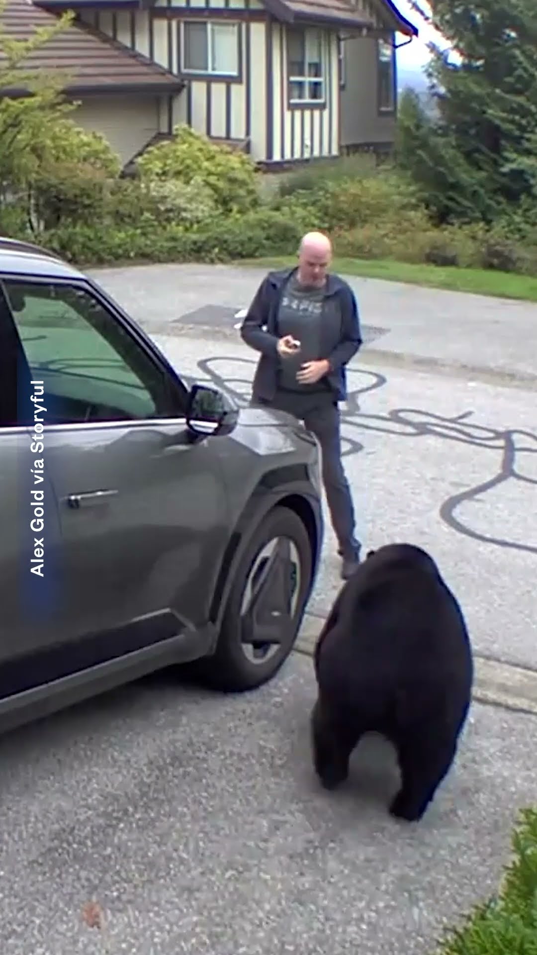 Un oso negro asusta a un hombre en el garaje de su casa | Noticias Telemundo
