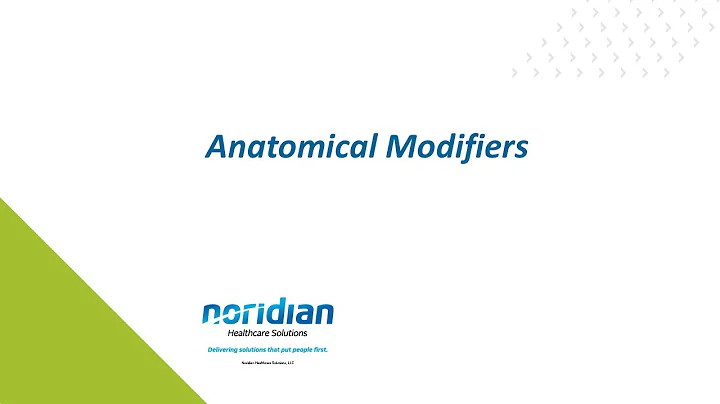 Anatomical Modifiers - DayDayNews