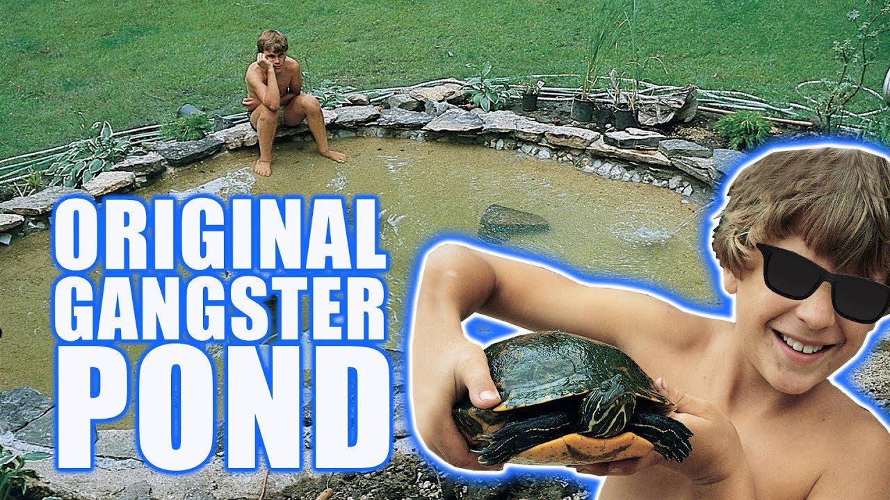 The POND That Built an Industry