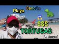 CANCÚN 🌅 ( Playa TORTUGAS 🐢) 🔴 Al momento, 28 de Marzo