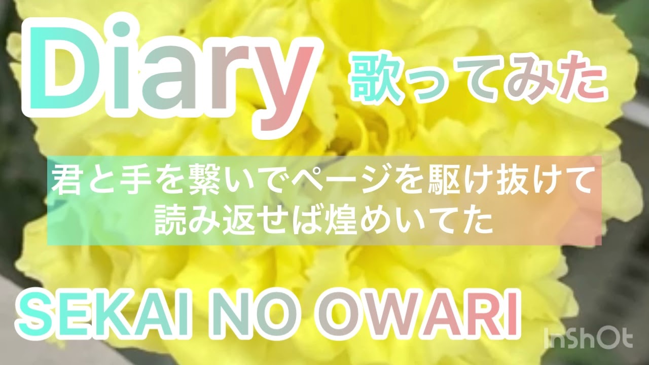 歌ってみた Diary Sekai No Owari 女性キー 4 女 歌詞付き Netflix 恋愛リアリティーショー 未来日記 カバー Cover By風呼アローラ 117 Youtube