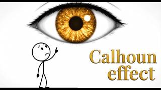 Universe 25 Calhoun effect