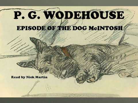 Видео: Кога умря pg wodehouse?